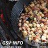 GSV-Info 01-2016